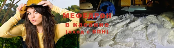 СК Ельня