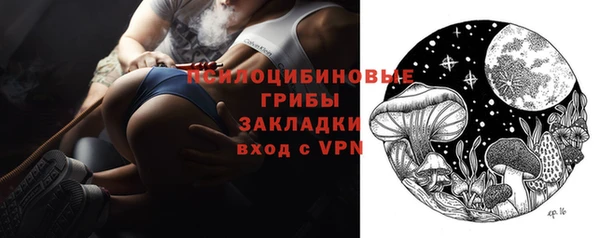 ешки Елизово