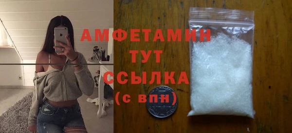 СК Ельня