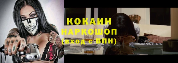СК Ельня