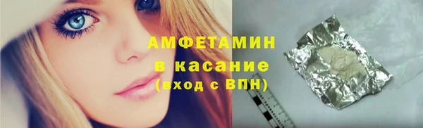 СК Ельня