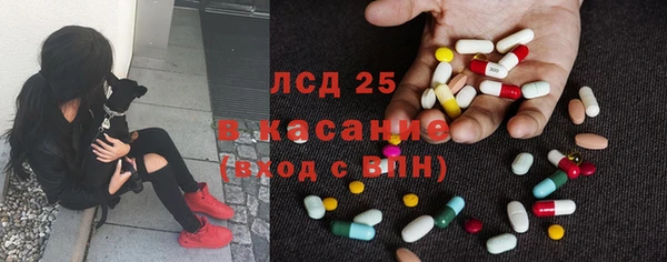 СК Ельня