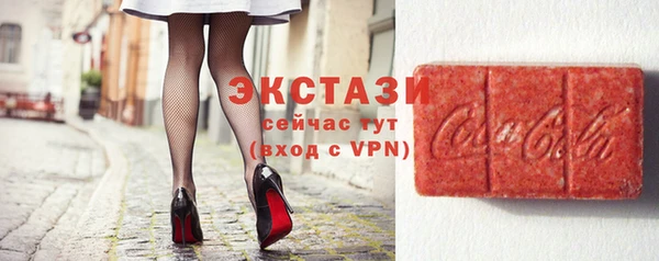 СК Ельня