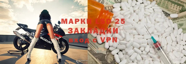 СК Ельня