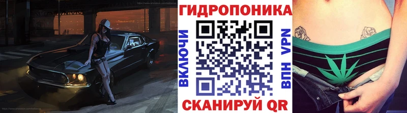 гидра вход  Вологда  Бошки Шишки ГИДРОПОН 